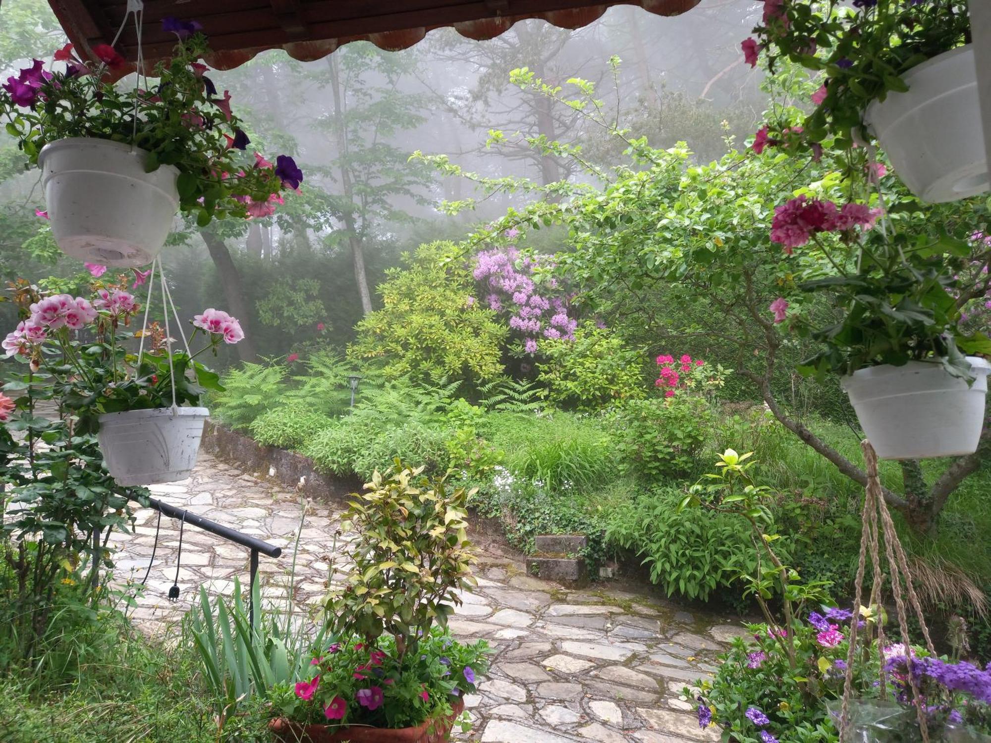 B&B Le Camelie Del Bosco Baiardo Exterior photo